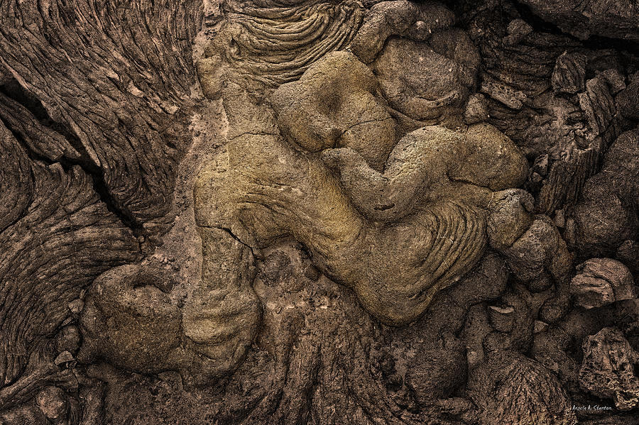 Lava Mother with Child on Galapagos Islands Photograph by Angela Stanton
