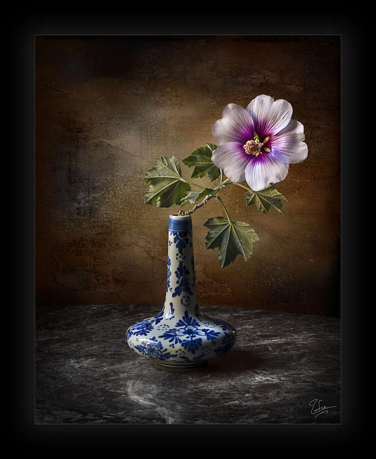 Lavatera Mallow in Vase Photograph by Endre Balogh
