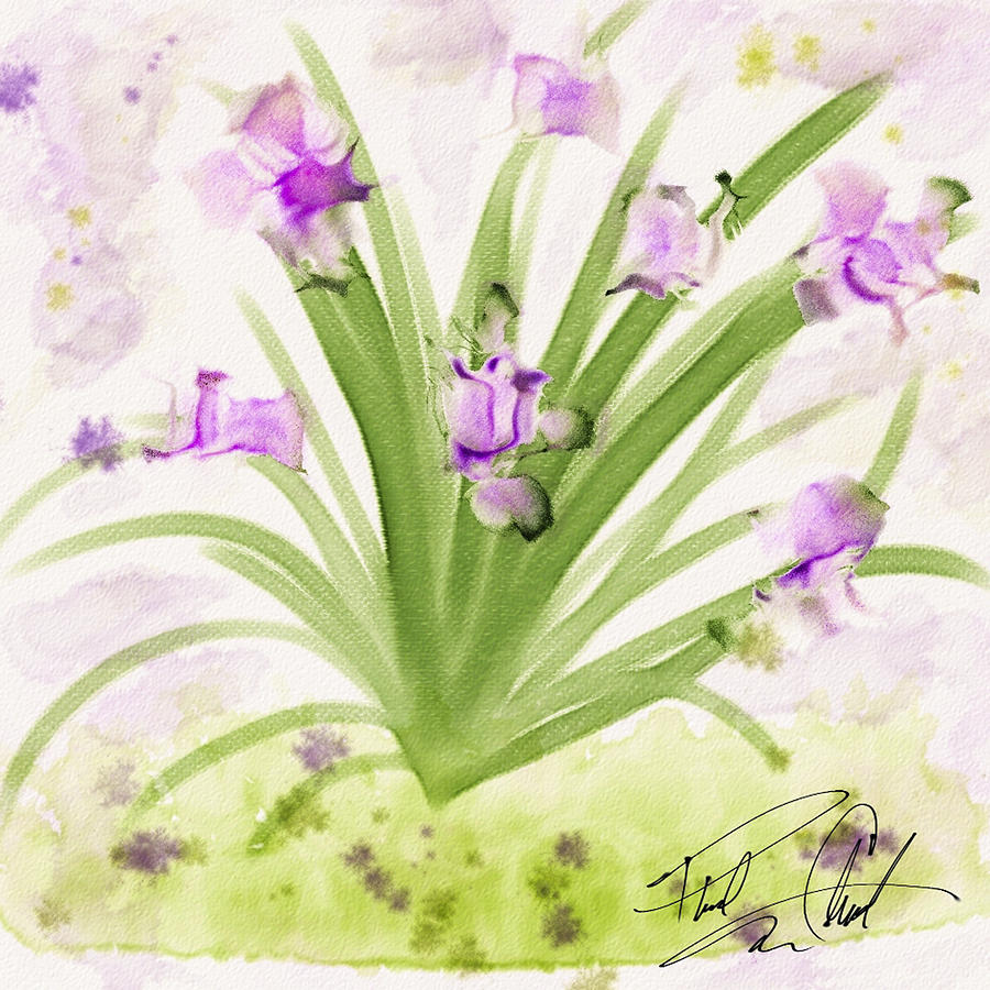 Lavendar Blossoms Digital Art by Phil Clark
