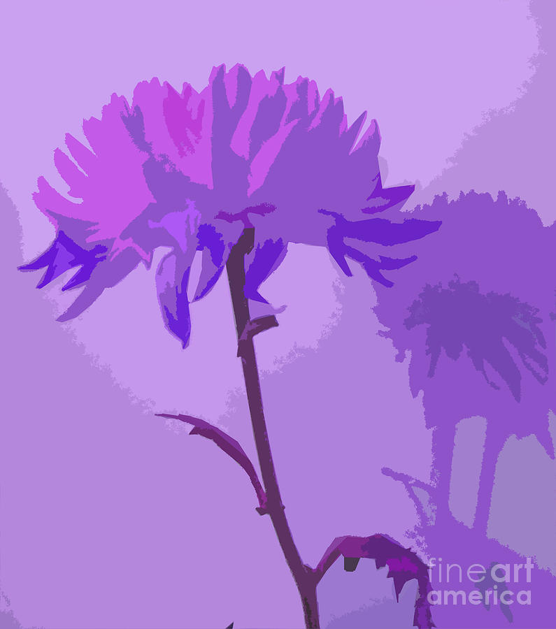 Flower Photograph - Lavender Purple Flower  by Minding My  Visions by Adri and Ray