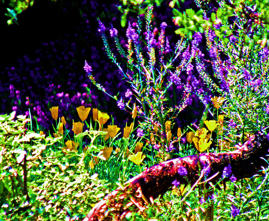 Lavender and Gold Digital Art by Joseph Coulombe