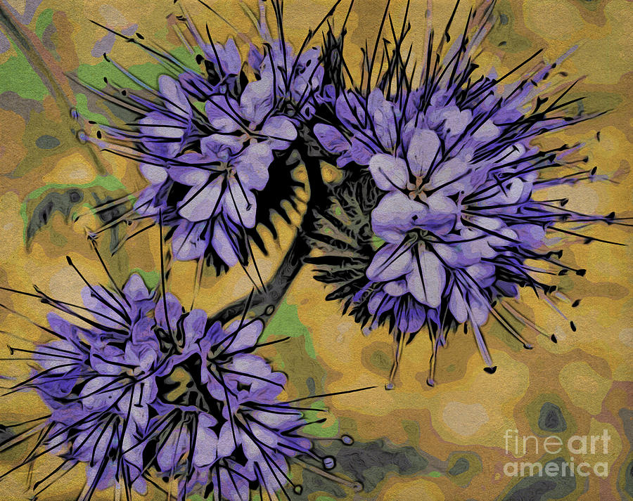 Lavender Beauty Painting by Jacklyn Duryea Fraizer