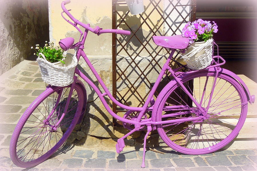 Lavender Bicycle Szentendre Hungary Photograph by Caroline Stella