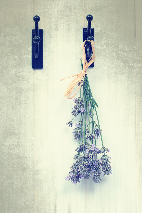Flower Photograph - Lavender by Amanda Elwell