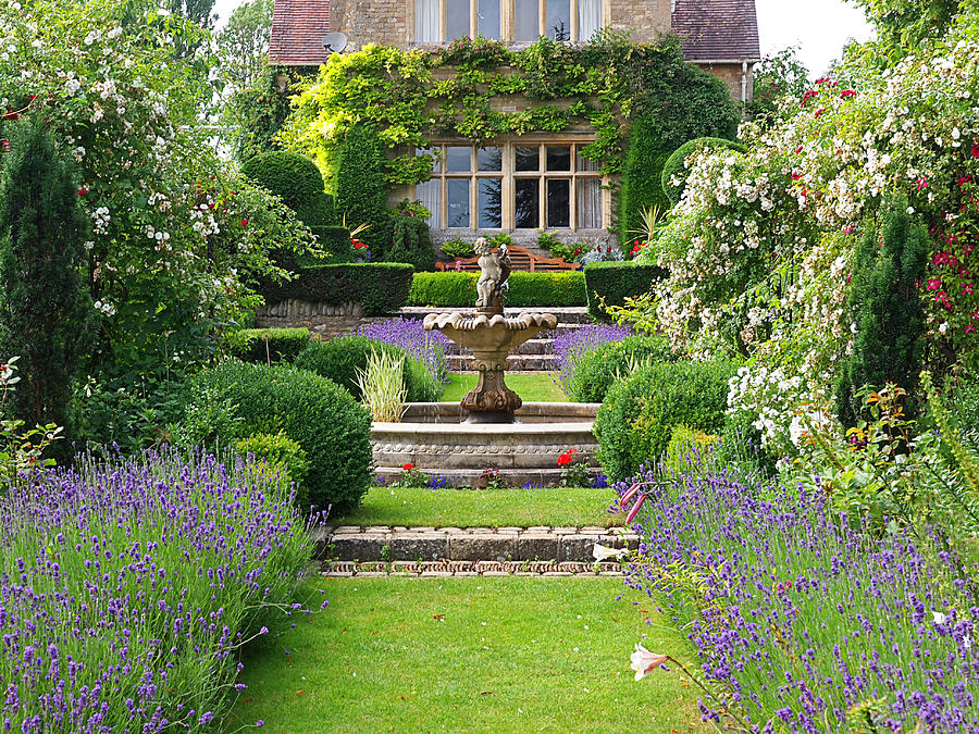 Lavender Country Garden Photograph by Gill Billington