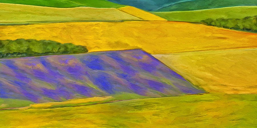 Lavender Field Painting by Dominic Piperata