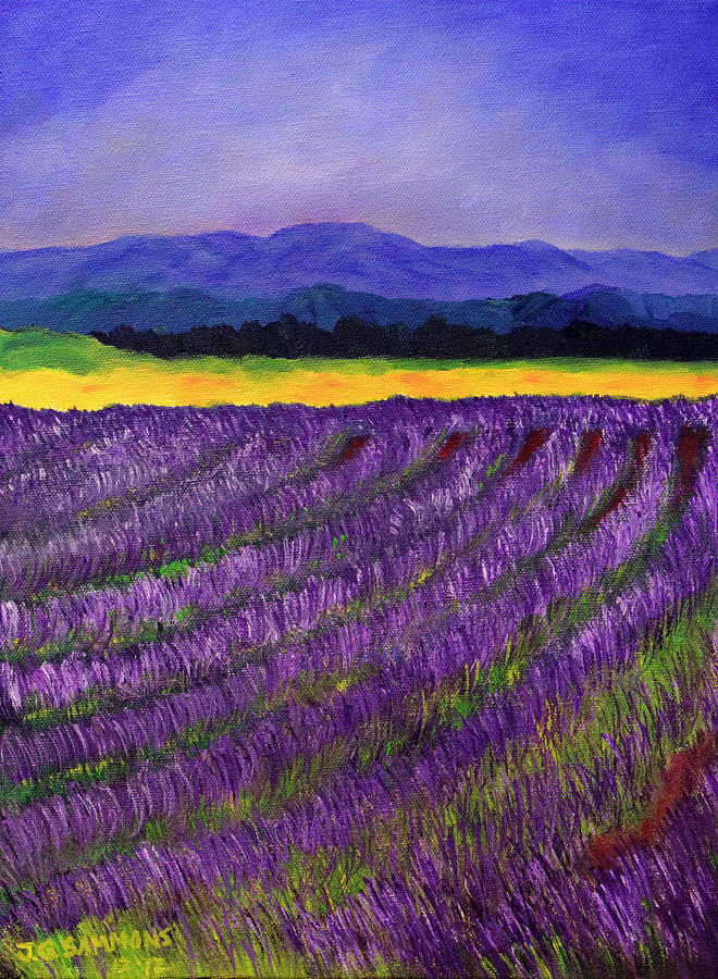 Lavender Fields Painting by Janet Greer Sammons