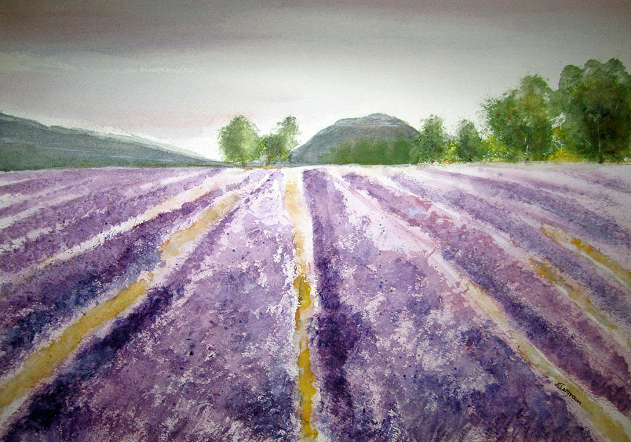 Lavender Fields  Painting by Elvira Ingram