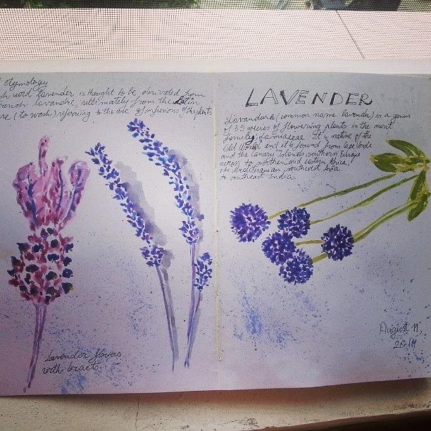 Flower Photograph - Lavender Illustration On A Handmade Art by Cristina Parus