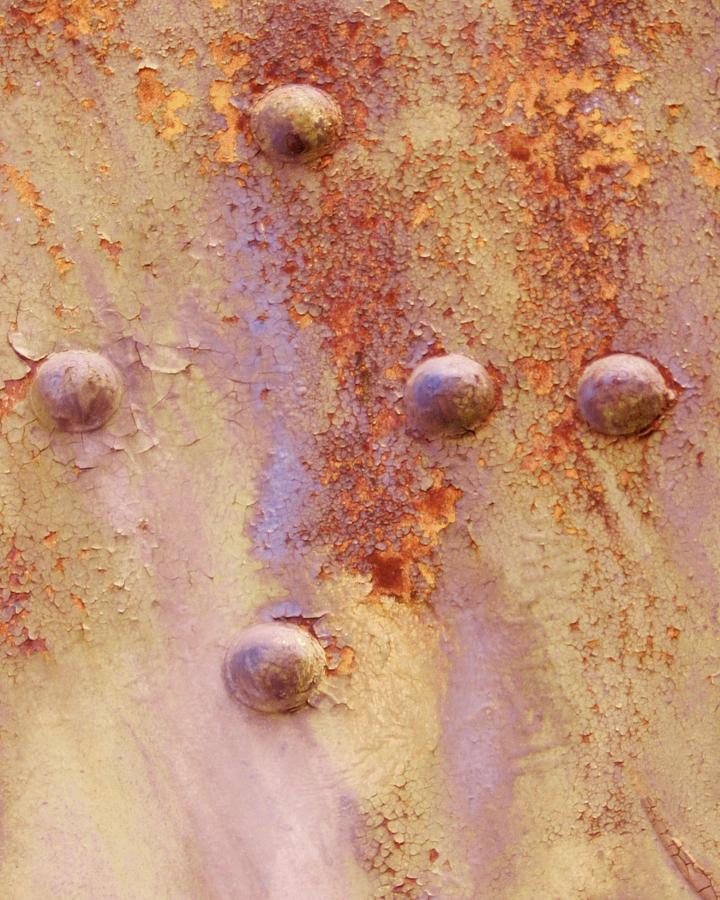 Lavender in Rust Photograph by Charles Lucas