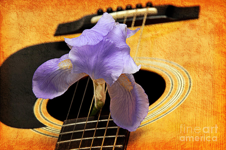 Lavender Iris And Acoustic Guitar - Texture - Music - Musical Instrument Photograph by Andee Design