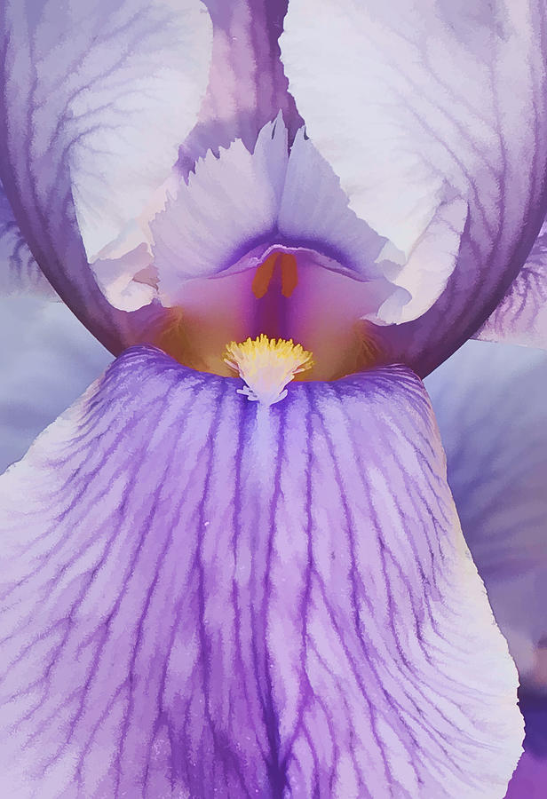 Nature Photograph - Destination Fabulous Lavender Iris by Marcia Colelli