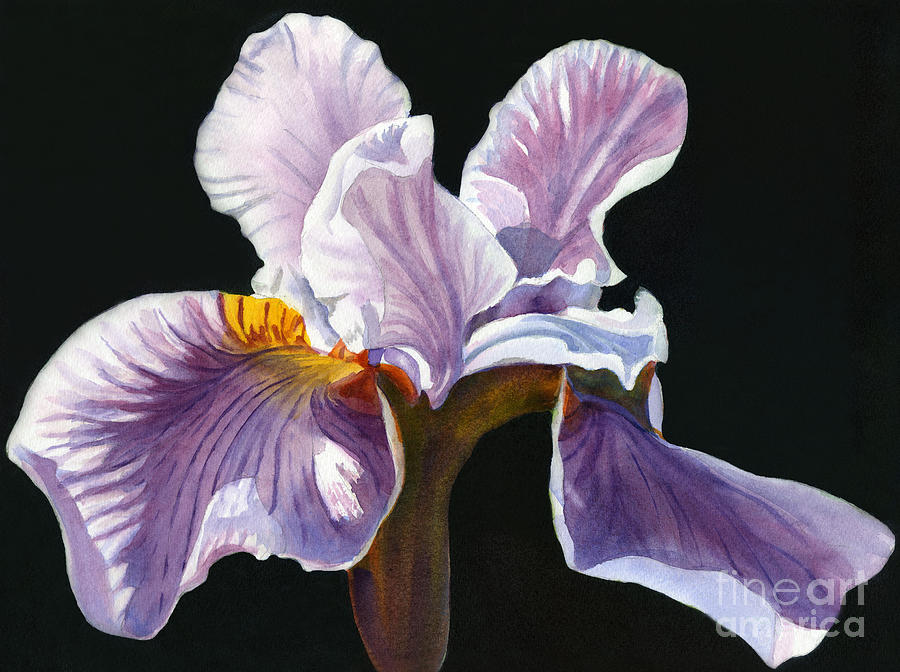 Lavender iris on Black Painting by Sharon Freeman