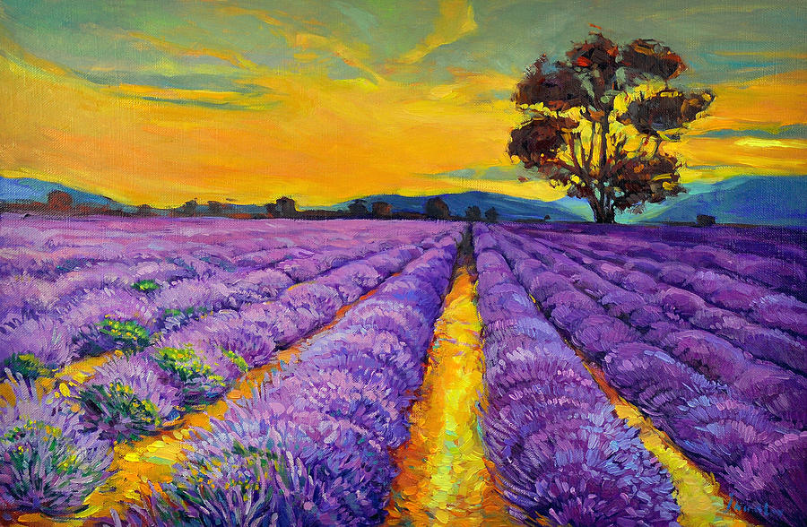 Lavender Painting by Ivailo Nikolov