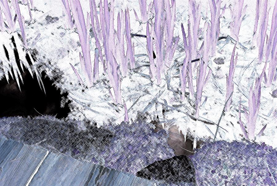 Lavender Pond Abstract Photograph by Ann Johndro-Collins