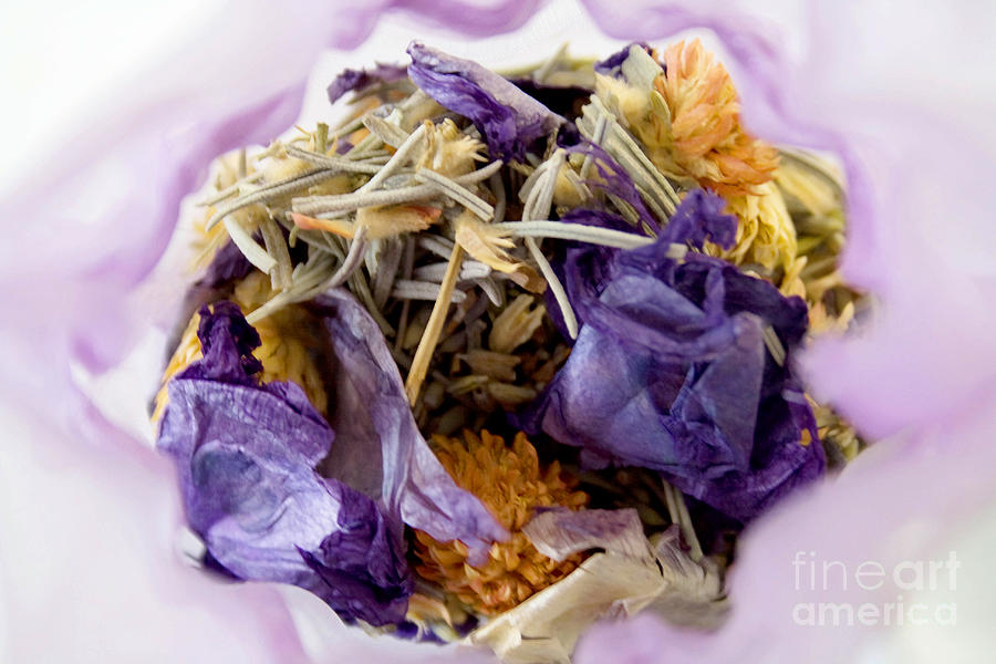 Lavender Potpourri Photograph by Robin Lynne Schwind Pixels