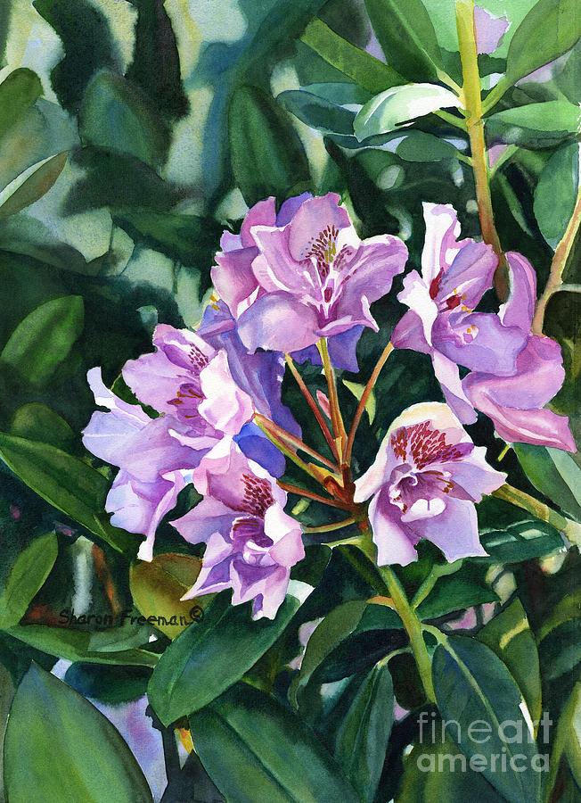 Lavender Rhododendron in Sunlight Painting by Sharon Freeman - Fine Art ...