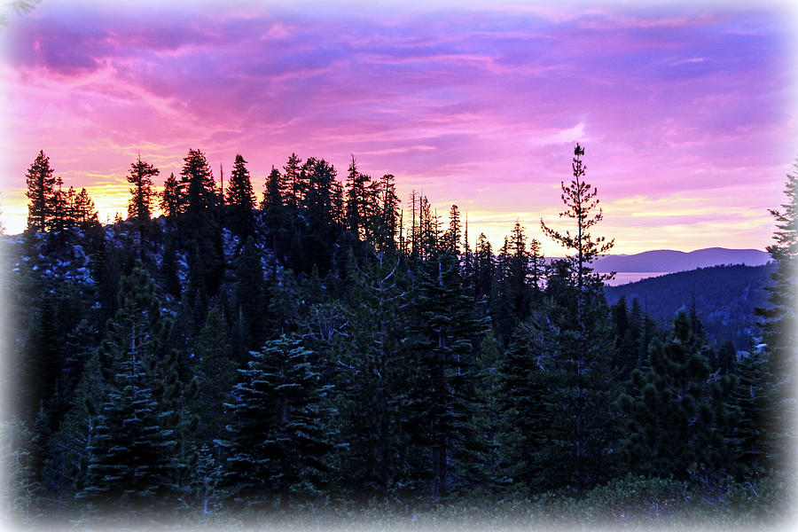 Lavender Ridge Photograph by Randy Wehner