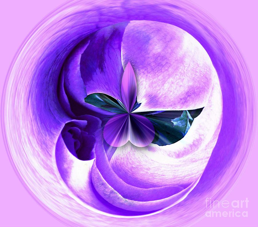 Lavender Rose Orbital Photograph by Judy Palkimas