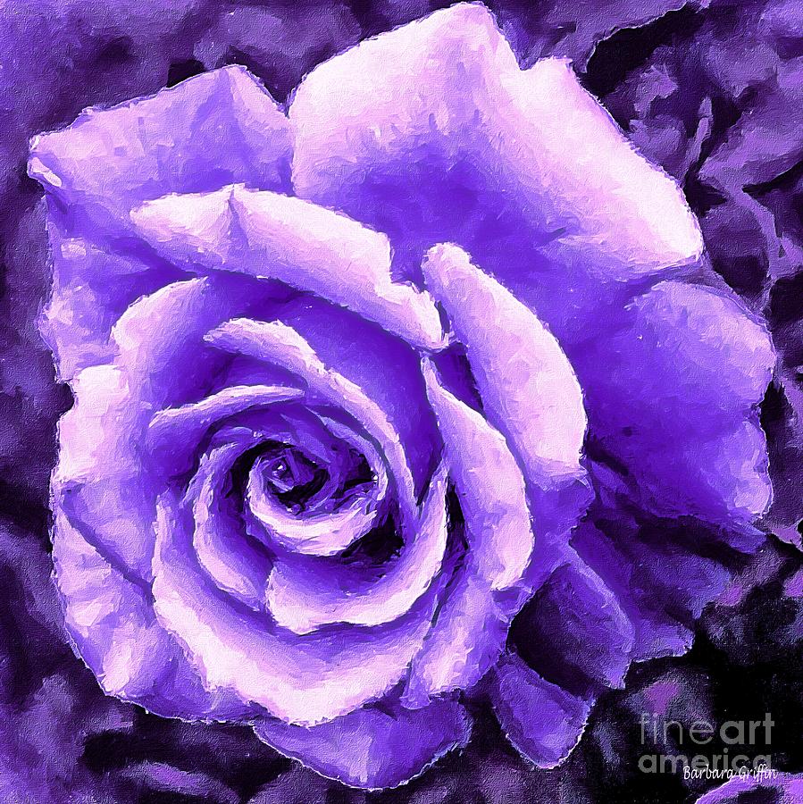 Lavender Rose with Brushstrokes Photograph by Barbara A Griffin