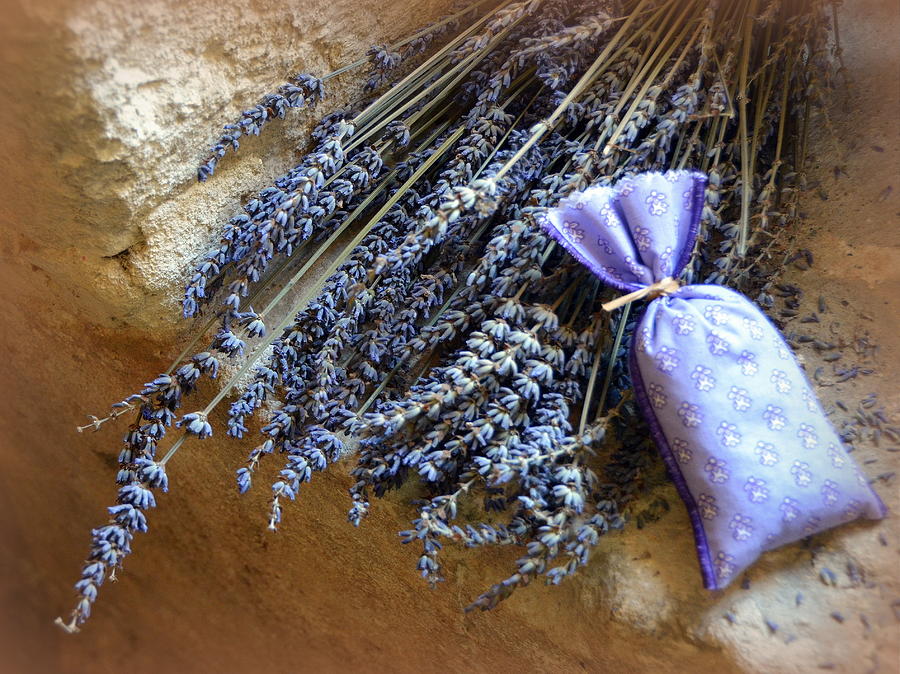 Lavender Sachets Photograph by Carla Parris