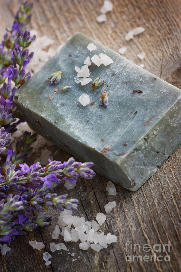 Nature Photograph - Lavender soap by Mythja Photography