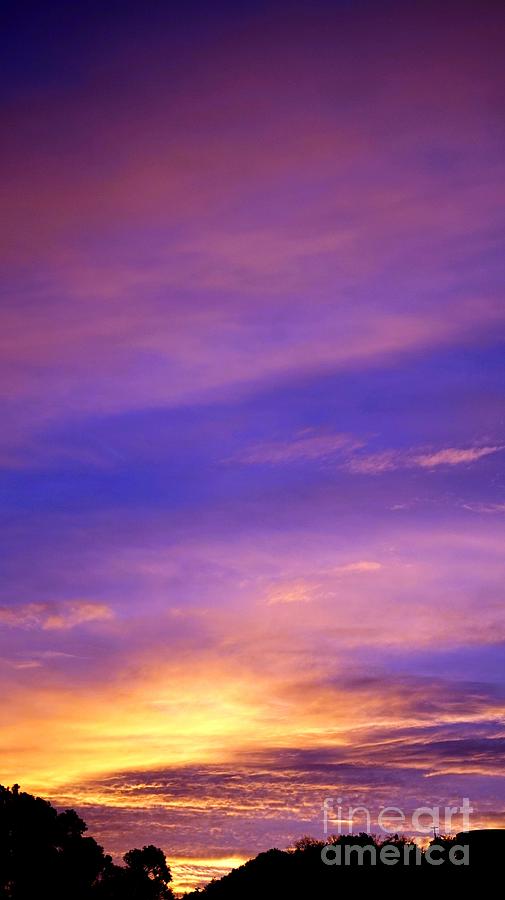 Lavender Sunrise Photograph by Sue Halstenberg