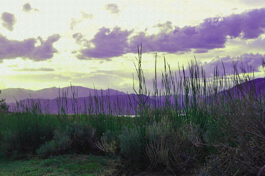 Sunset Photograph - Lavender Twilight by Lisa Holland-Gillem