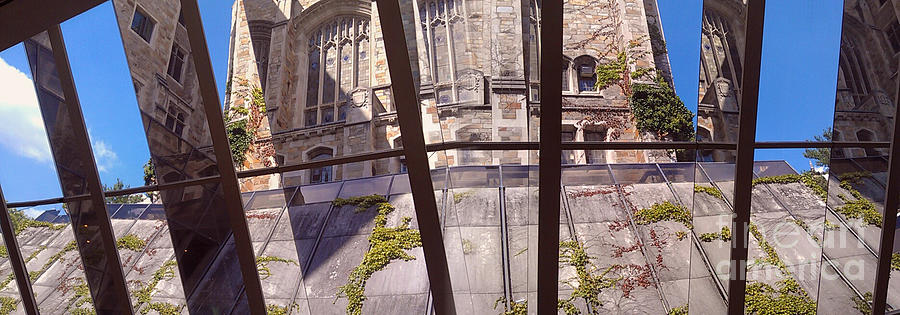 Law Library Pano -- University of Michigan Photograph by Anna Lisa Yoder