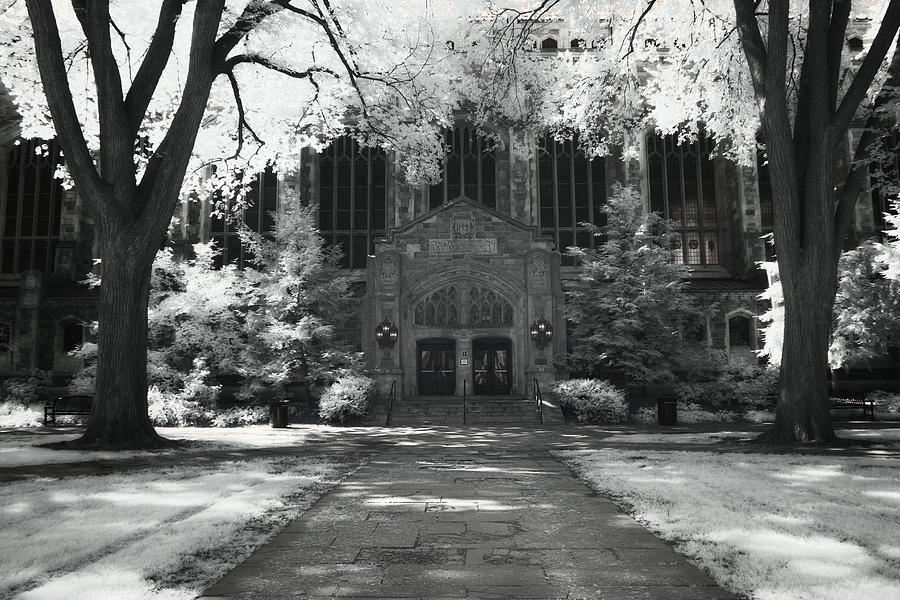 Law Library UofM Photograph by Anthony Cornish - Fine Art America