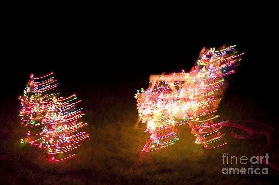 Lawn Chair with Christmas tree and Christmas lights Photograph by Jim Corwin