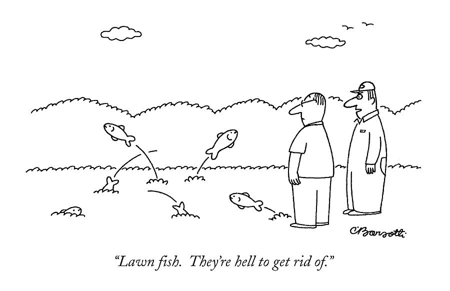 Lawn Fish.  Theyre Hell To Get Rid Of Drawing by Charles Barsotti