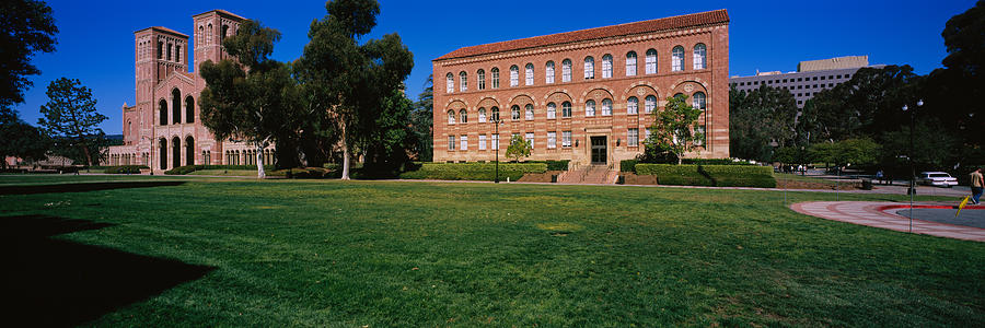 University Of California Photograph - Lawn In Front Of A Royce Hall by Panoramic Images