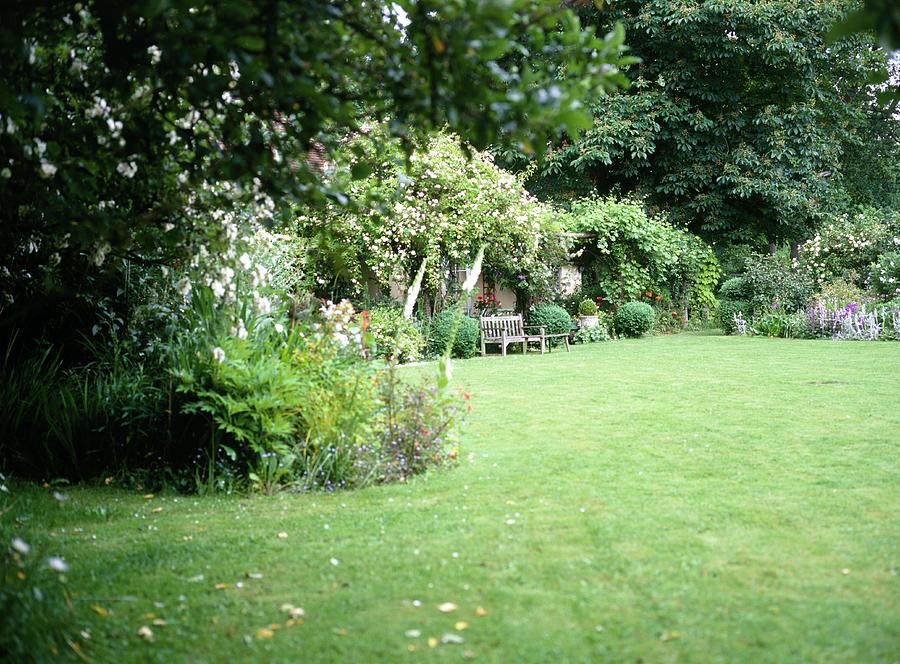 Summer Photograph - Lawn by Rachel Warne/science Photo Library