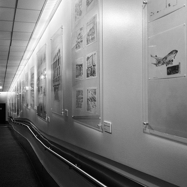 Lax Photograph - #lax Art Show Terminal 2 Sketches Of by Mike Valentine