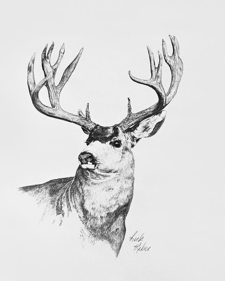 Layed Back Drawing by Rick Reber | Fine Art America