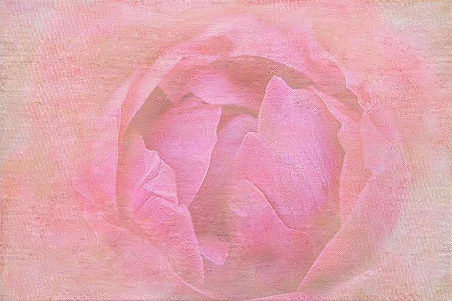 Layer Me Pink Digital Art by Michelle Ayn Potter