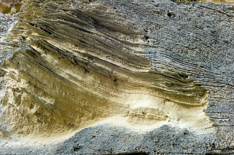 Fossiliferous Photograph - Layered Calcareous Sandstone by Dr Jeremy Burgess