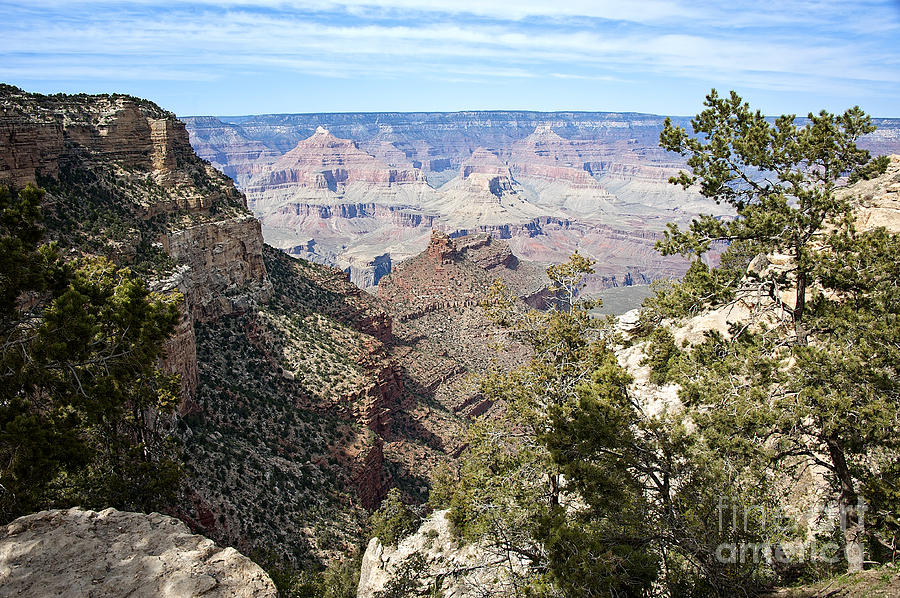 Layers in the Canyon Photograph by Lee Craig
