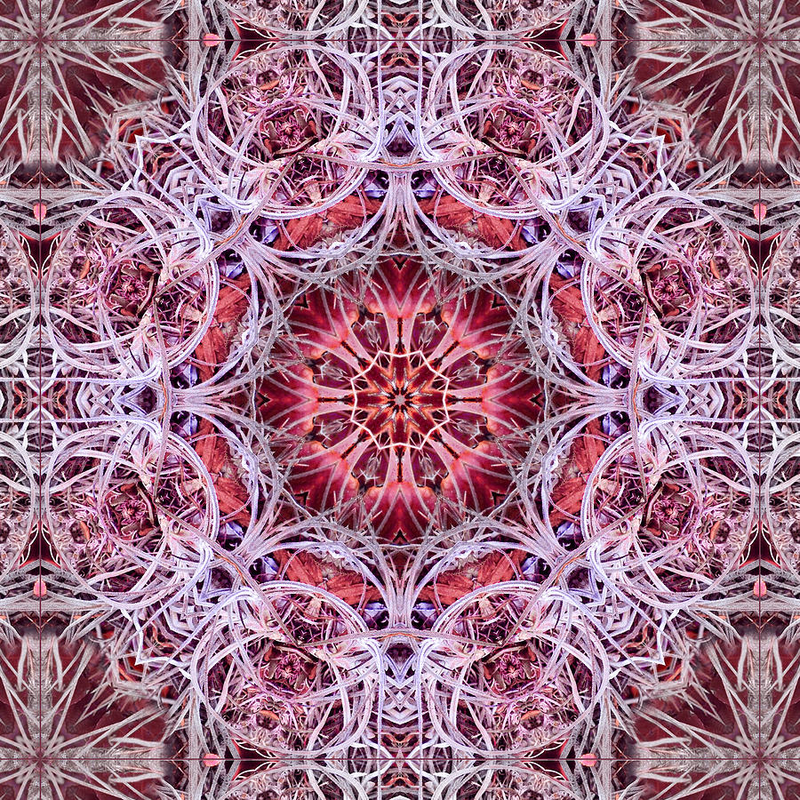 Layers Kaleidoscope Digital Art by Frances Miller