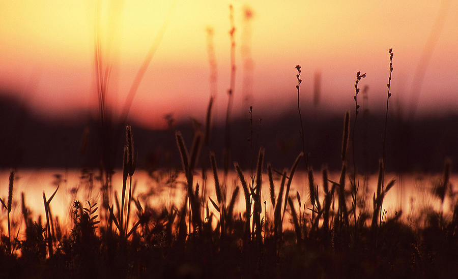 Sunset Photograph - Layers by Karen M Blankenship