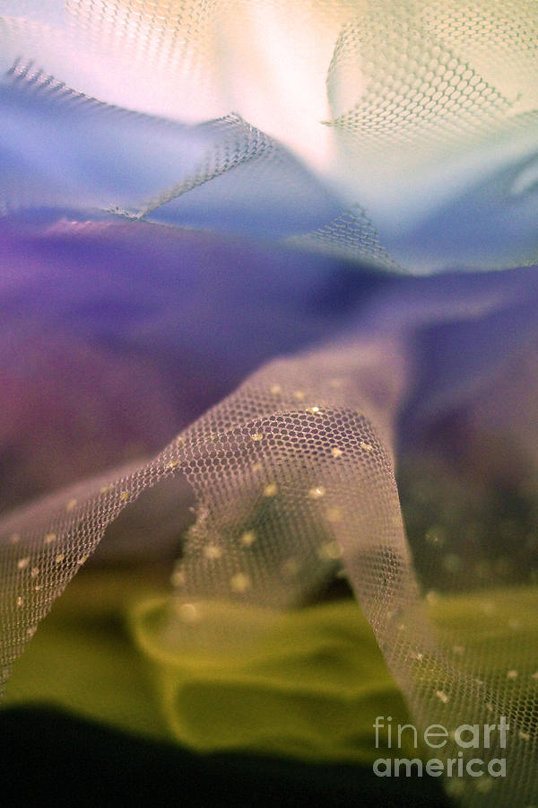 Layers of Tulle Photograph by Cassandra Buckley