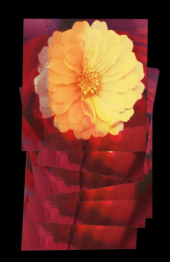 Layers of Yellow Flower Digital Art by Susan Stone