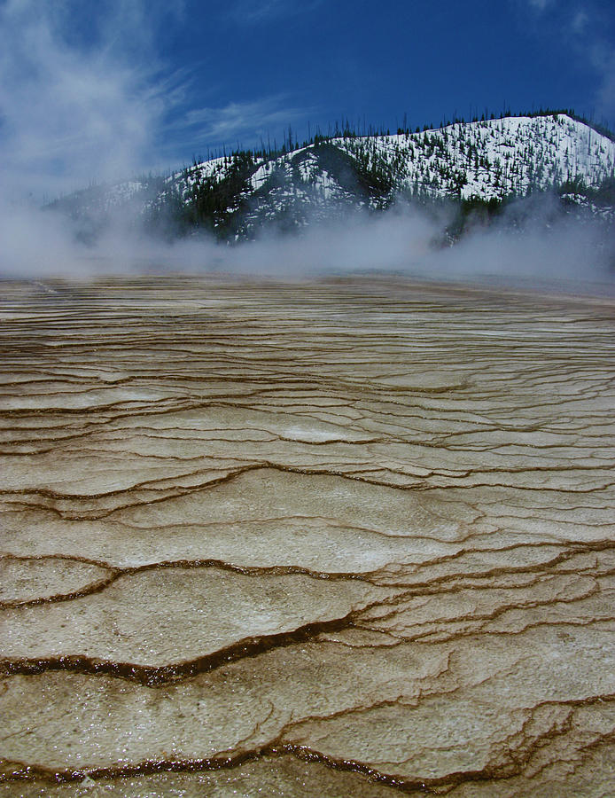Yellowstone National Park Photograph - Layers YNP by Bill Keiran