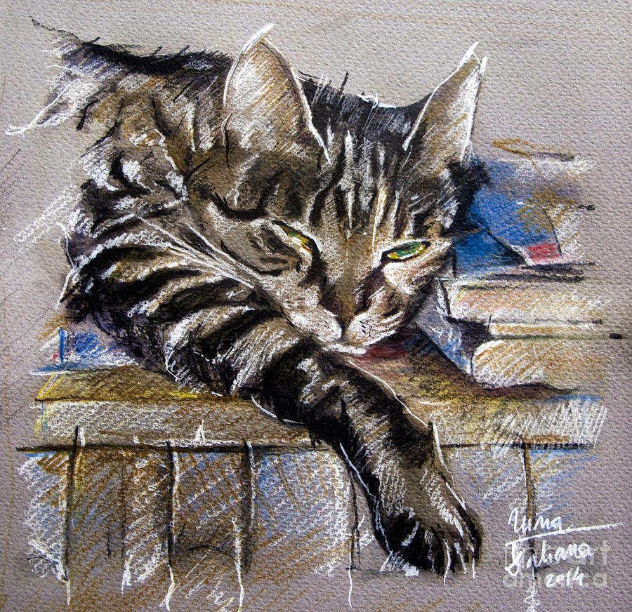 Lazy Cat Portrait - Drawing Drawing by Daliana Pacuraru