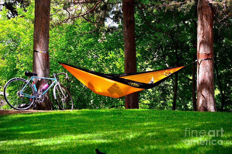 Lazy Day in the Park Photograph by Johanne Peale