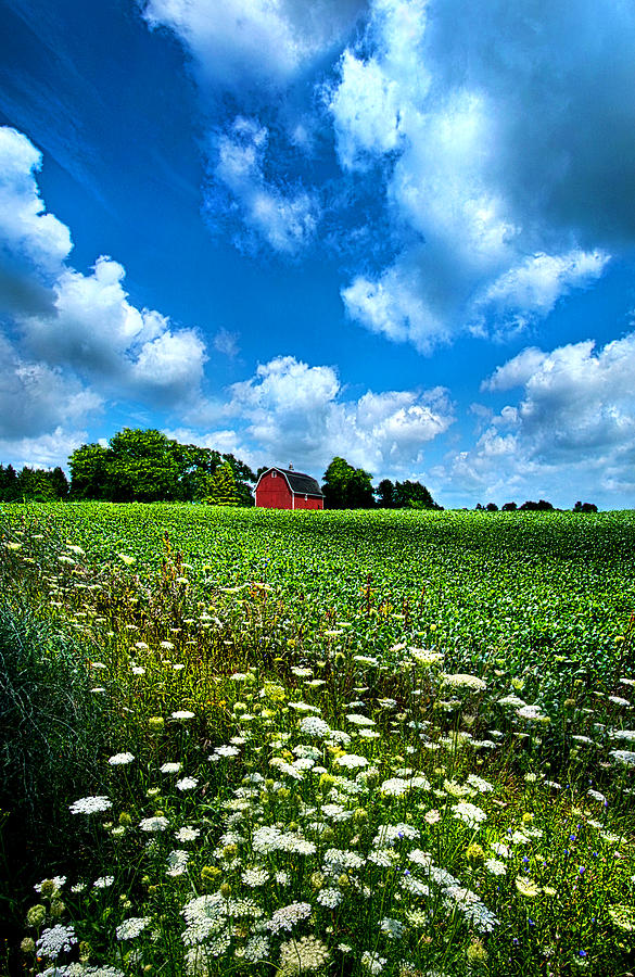 Summer Photograph - Lazy Days of Summer by Phil Koch