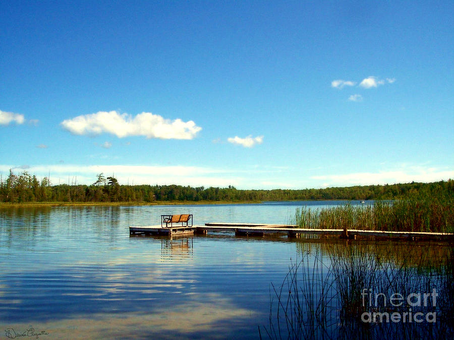 Nature Photograph - Lazy Summer Day by Desiree Paquette
