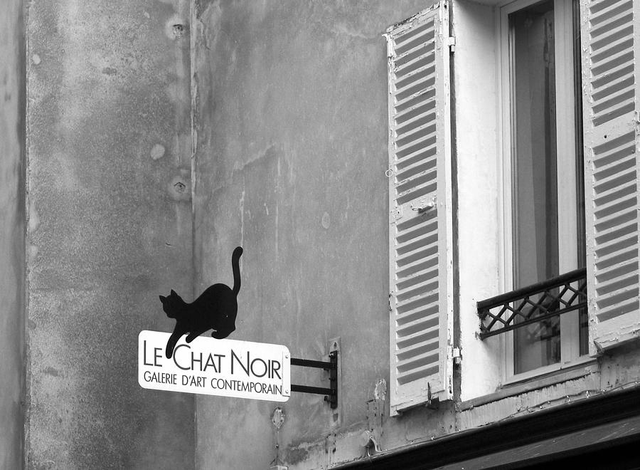 Le Chat Noir Photograph by Nikolyn McDonald