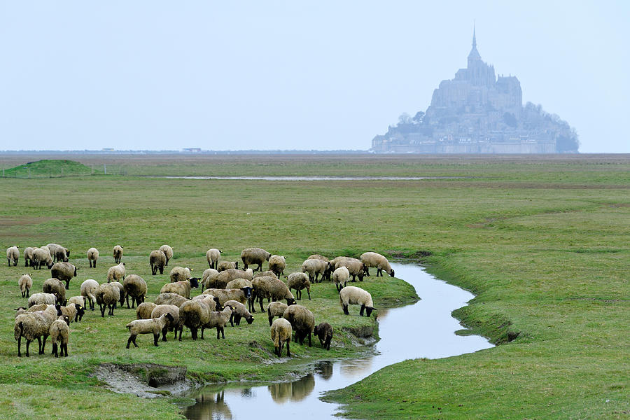 Le Mont Saint Michel Photograph by Capannelle